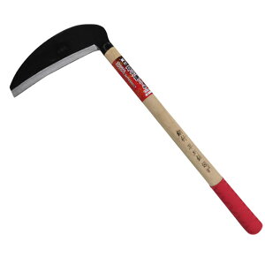 ܘY  |t 195mm #31195