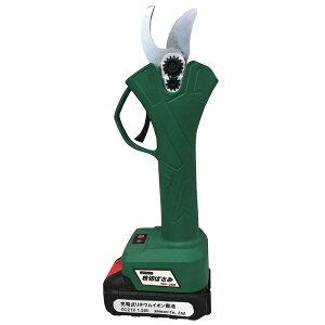 VZC@[d@}؂΂݁@TIP-250
