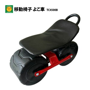 ړ֎q@悱ԁ@TC4500B@R