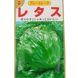 ylR|X 10܂Łz^X@O[g[N^XyA^z