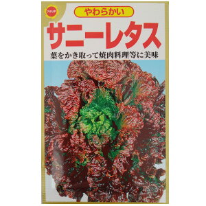 ylR|X 10܂Łz^X@Tj[^XyA^z