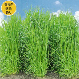 1kg`22.5kgqqyC^ACOXzȂGT ijyJlRczp