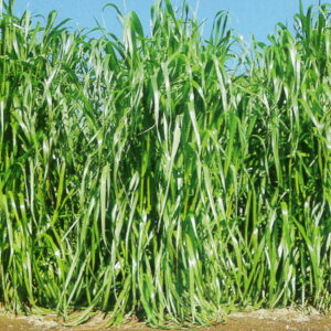 1kg`22.5kg qqyC^ACOXztEWSR iӐjyJlRczp/Δp