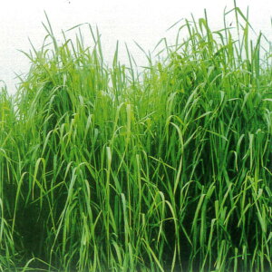 1kg`22.5kg qqy`V[zmTbvijyJlRczp