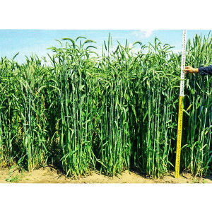 1kg`20kgqqyCRMzC_bNXEiӐjyJlRczΔp