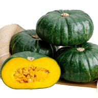 種【カボチャ】栗五郎 （100粒・500粒・1000粒）【カネコ種苗】野菜の種　カボチャの種