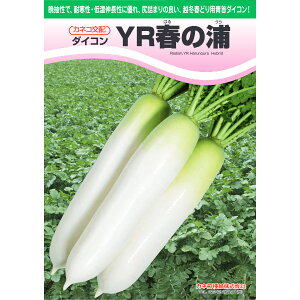 y_CRzYRt̉Y i800lE8痱lEybg5痱ljyJlRcz q@卪 ̎
