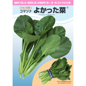 ��y�R�}�c�i�z�悩�����؁i20ml�l�E2dl�l�E1L�l�E�y���b�g5�痱�l�j�y�J�l�R��c�z��؁@�R�}�c�i �̎�