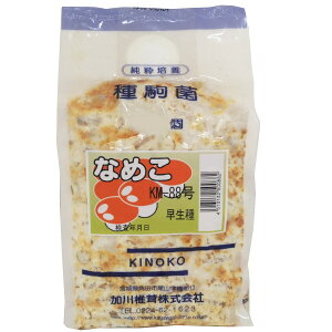 ŷہz Ȃ߂ KM-88i250E500E1000j큄@