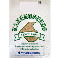 ＜1kg / 22.5kg＞ 牧草種子【イタリアンライグラス】ワセアオバ （早生）【カネコ種苗】飼料用