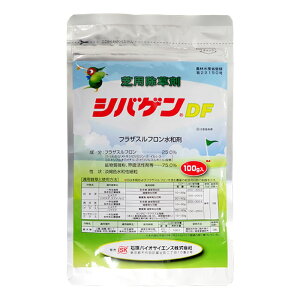 ylR|X 2܂Łz Őp VoQDF 100g