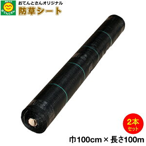 y2{Zbgz hV[g 1m×100m@iEkCEꔭsj