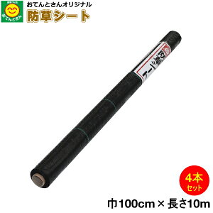 y4{Zbgz hV[g 1m×10m@iEkCEꔭsj