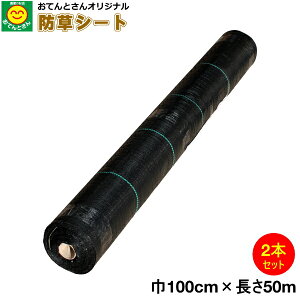 y2{Zbgz hV[g 1m×50m@iEkCEꔭsj