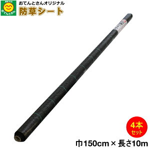 y4{Zbgz hV[g 1.5m×10m@iEkCEꔭsj