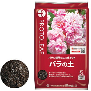 vg[t@o̓y@5L@|{y@py@op@@K[fjO@|@KN