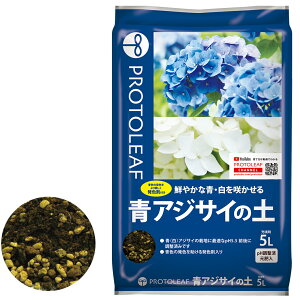 vg[t@AWTC̓y@5L@|{y@py@AWTCp@pHρ@@Fܓ@K[fjO@|