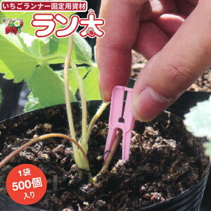 V[@i[Œpށ@@500@5F(    )I@䕃i[