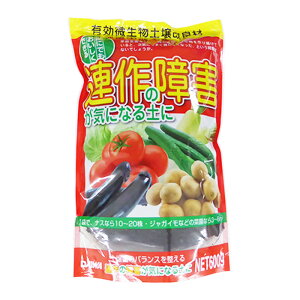 ȀQCɂȂy 600g@AQ@y