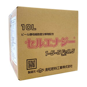 a엿@t@ZGiW[@1-5-5 Fe0.5@10L@r[yz@y@tʎUz