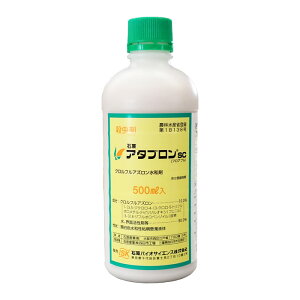 A^uSC (tAu)@500ml