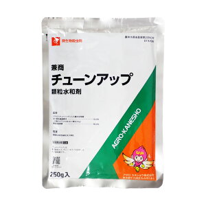 ylR|X 2܂Łz`[Abva܁@250g