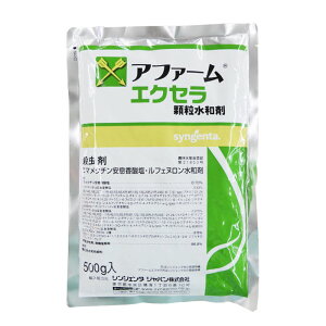 ylR|X 1܂ŁzAt@[GNZa܁@500gyL2026N10z