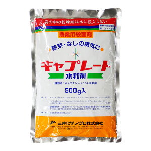 ylR|X 1܂ŁzLv[ga܁@500g