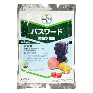 ylR|X 1܂ŁzpX[ha܁@500g