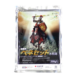 ylR|X 1܂ŁzxlZbga܁@500g