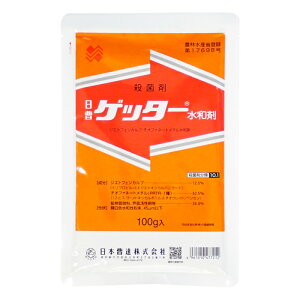 ylR|X 4܂ŁzQb^[a܁@100gyL2026N10z