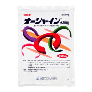 ylR|X 1܂ŁzI[VCa܁@500g