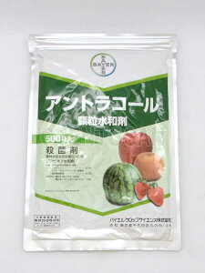 ylR|X 1܂ŁzAgR[a܁@500g