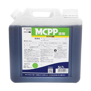 MCPPt܁@5L@e