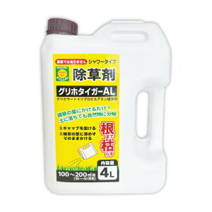 ܁@Oz^CK[AL@e 4L@V[^Cv@OzT[g{MCPA^_knp