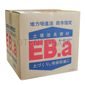 �y����ǎ��ށ@EB-a�@20L�@(�y��c��������)