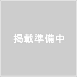 KOIZUMI (򐻖)@PEbV[ 60mm@50{