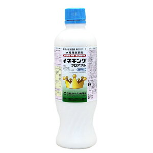 �O�䉻�w�N���b�v&���C�t�\�����[�V�����Y �C�l�L���O�t���A�u�� 500ml