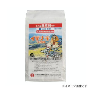 CUiM1L܁@4kgyL2026N10z