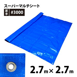 X[p[}`V[g#3000@2.7m×2.7mi1.5×1.5ԁjng12ӏ@u[V[g