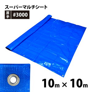 X[p[}`V[g#3000@10m×10mi5.5x5.5) ng40ӏ@u[V[g