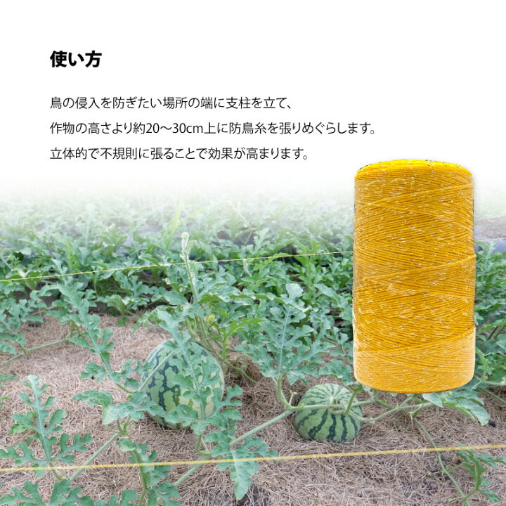 楽天市場】防鳥糸 500m巻 : 農薬・資材・農機のおてんとさん