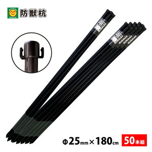 hblbgp(Aj}lbgp)@hbY@25mm@180cm@5{ZbgyhbxziEkCEꔭsj