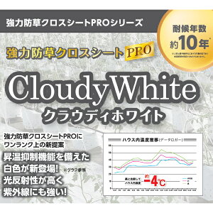 {}^C@͖hNXV[gPRO@NEfBzCg@1m×50m@nhV[gyόN10Nz