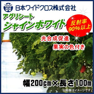 {ChNX@AOV[gVCzCg@(˖hV[g)@2m×100m@iqC@G}/G΍/nEX̖h