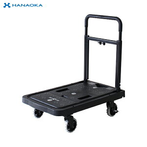 ԉq@tbgJ[g@F-CART02@ubN@(ԁE׎ԁEJ[g)@ύډ׏d80kg