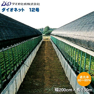 CmxbNX@_CIV[g 12@(ՌV[g)@@200cm×50m@Ռ80`85