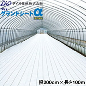 CmxbNX@hV[g@_CIOhV[gzCg@200cm×100m@(h˃V[g)