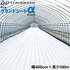 CmxbNX@hV[g@_CIOhV[gzCg@400cm×100m@(h˃V[g)