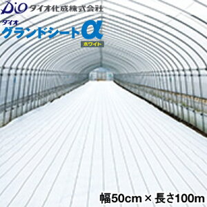 CmxbNX@hV[g@_CIOhV[gzCg@50cm×100m@(h˃V[g)